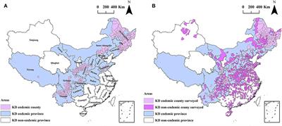A county-level spatial epidemiological study of hair selenium and Keshan disease